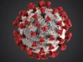 Covid-19 : une mutation a-t-elle réellement rendu le virus plus contagieux mais moins dangereux ?