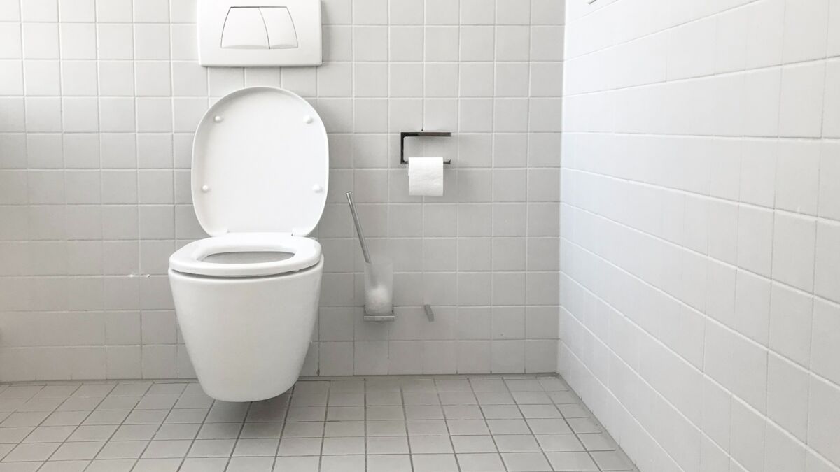 Voici pourquoi les lunettes des toilettes ne sont pas les mêmes chez vous  et dans les lieux publics