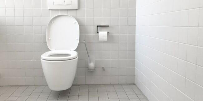Bactéries : quelles maladies est-on susceptible de contracter aux toilettes ?