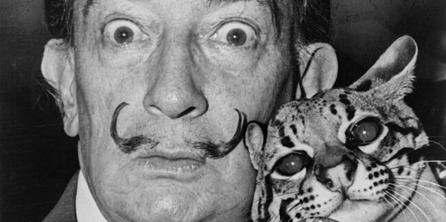 Le félin Babou, animal de compagnie de Dalí