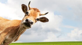 Son Humour Vache Me Fascinait Le Commentaire De Jean Pierre Winter Femme Actuelle Le Mag Son Humour Vache Me Fascinait Le Commentaire De Jean Pierre Winter Femme Actuelle Le Mag