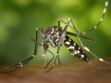 Zika, dengue, West Nile : 5 maladies qui arrivent en France à cause des moustiques