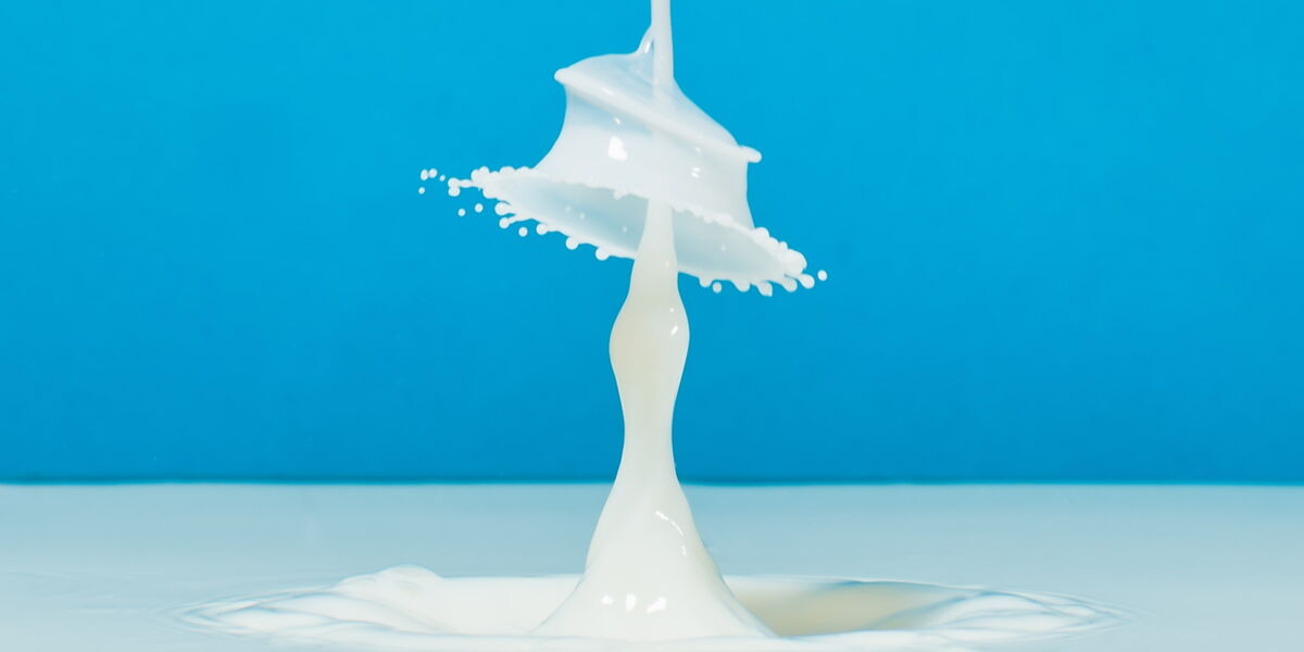 Lait De Jument Quels Sont Ses Bienfaits Et Comment L Uitiliser Femme Actuelle Le Mag