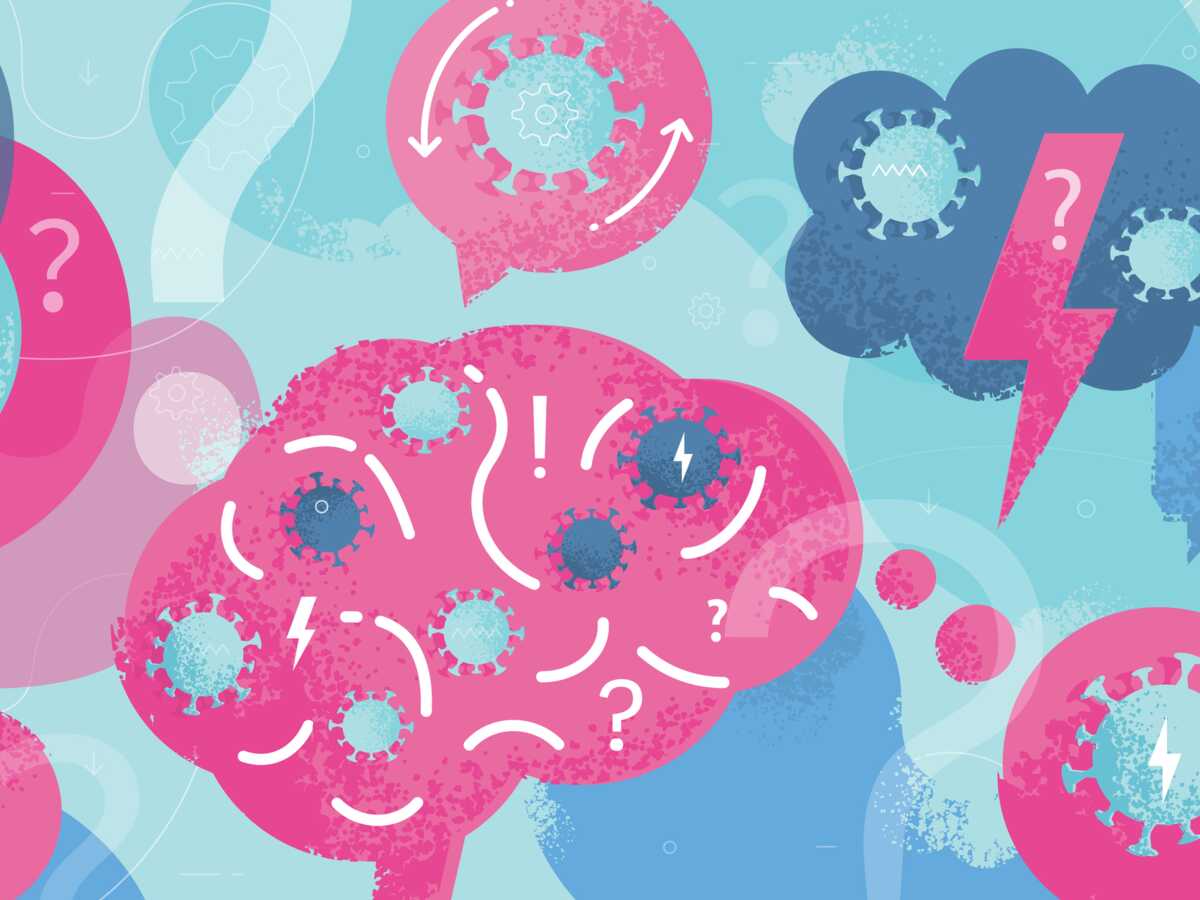 Alzheimer : et si ça venait du ventre ?
