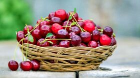 Découvrez Pourquoi Il Ne Faut Pas Manger Les Noyaux Des Cerises... : Femme  Actuelle Le Mag