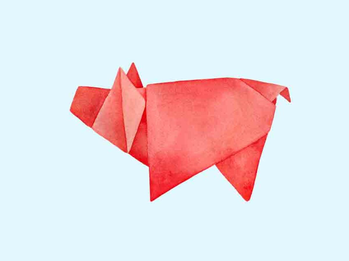 Cochon : horoscope chinois de la semaine du 12 au 18 juillet 2021