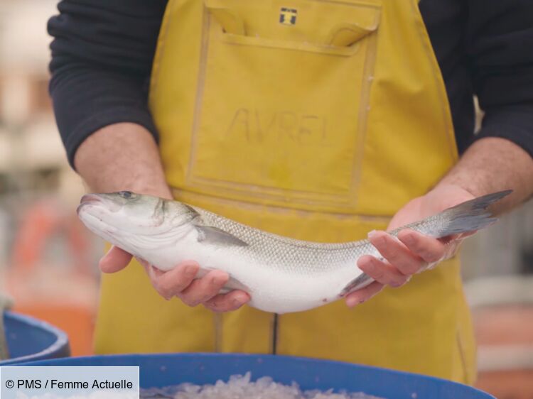 Les coulisses de l'élevage de loups de mer de Méditerranée : Femme ...