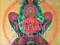 L'oracle des femmes médecine, de Catherine Maillard