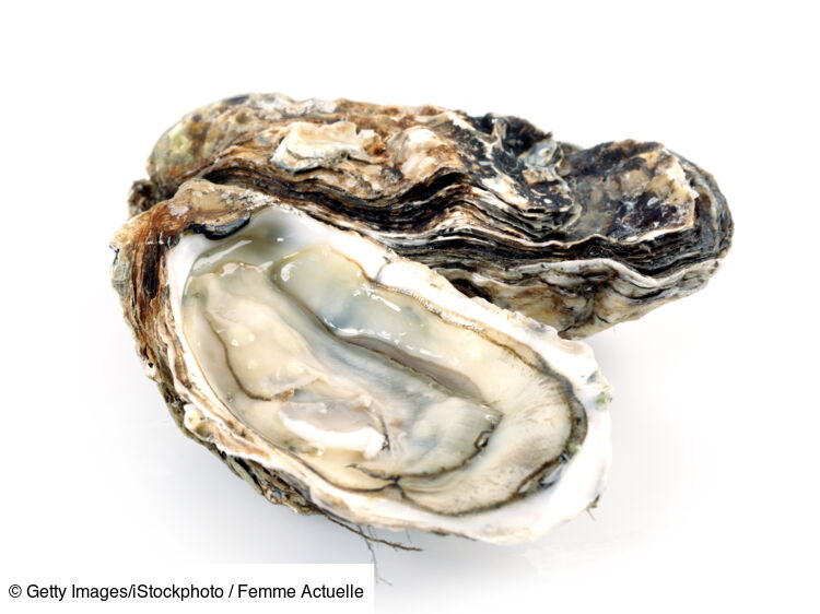 Bol En Dolomite Gris En Forme D'huître ByON - 13 Cm, Va Au Lave-vaisselle, Décoration De Table