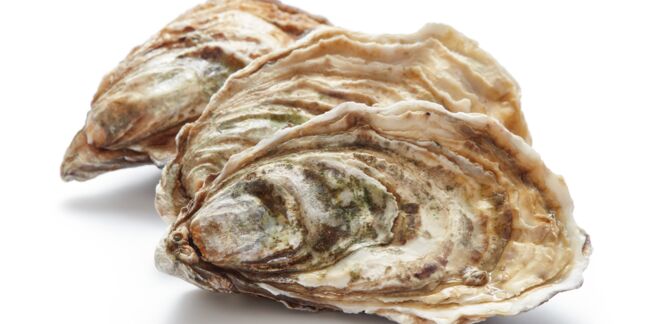 5 idées pour recycler les coquilles d’huîtres