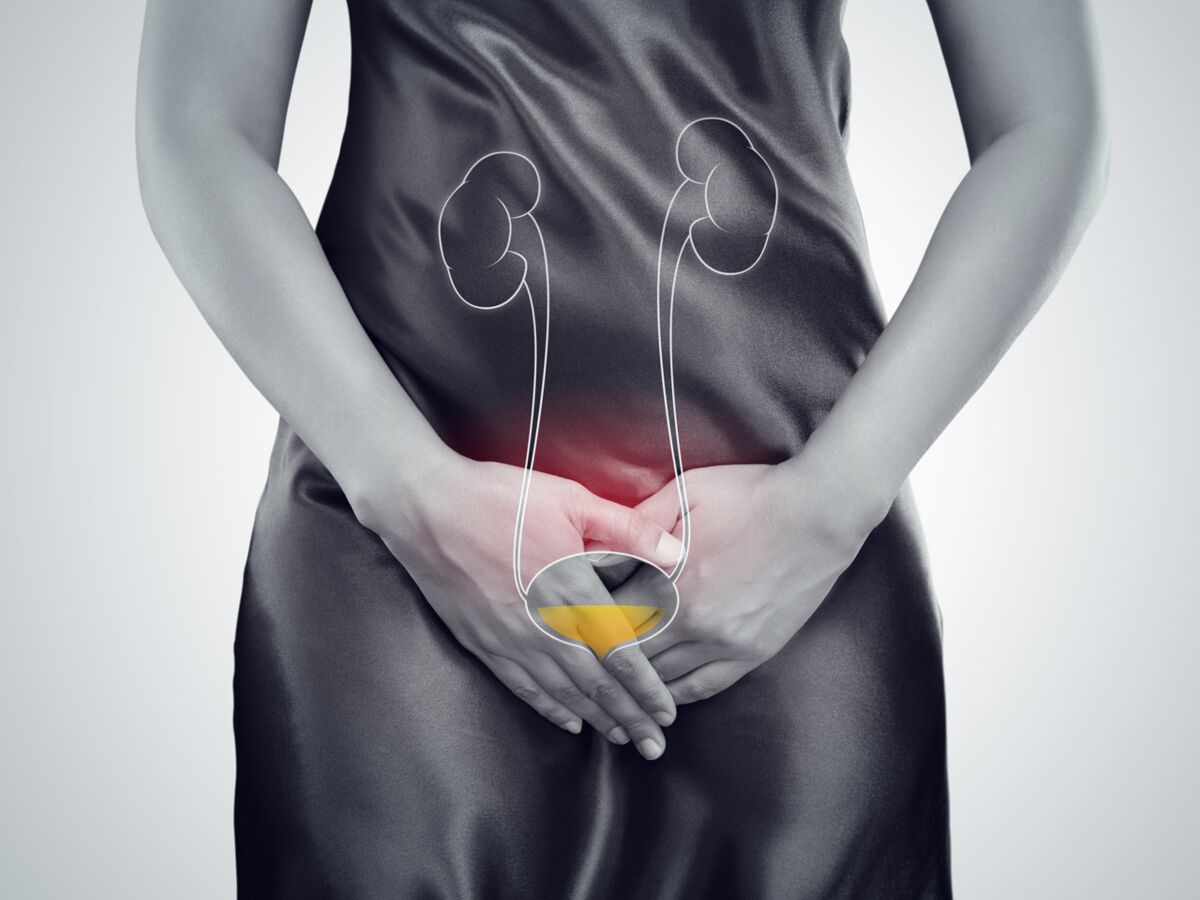 5 choses à savoir sur notre système urinaire