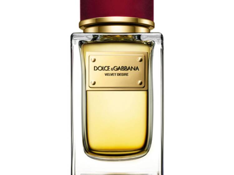 parfum desire dolce gabbana avis