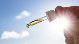 6 vérités sur la vitamine D