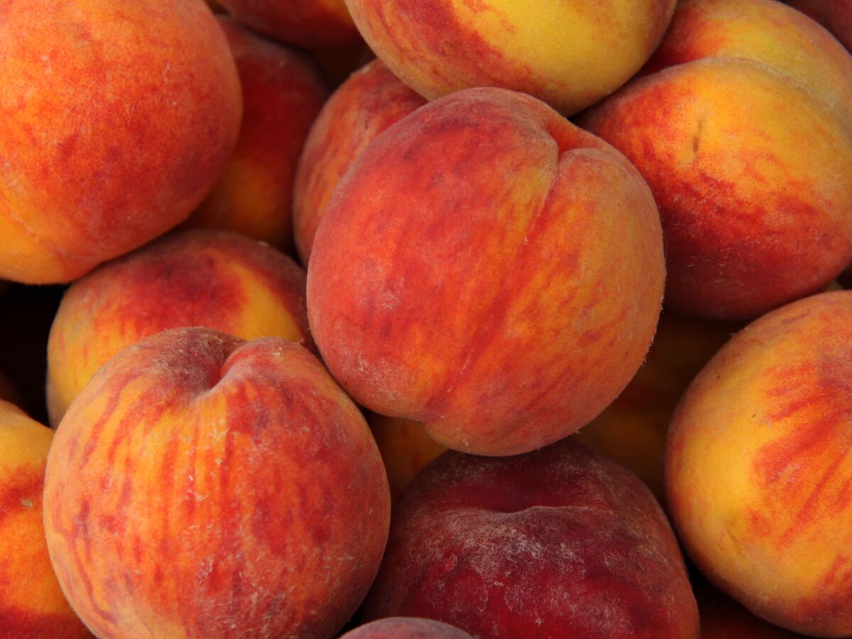 Creamy peach : une coloration pétillante que les rousses vont adorer (canon) !