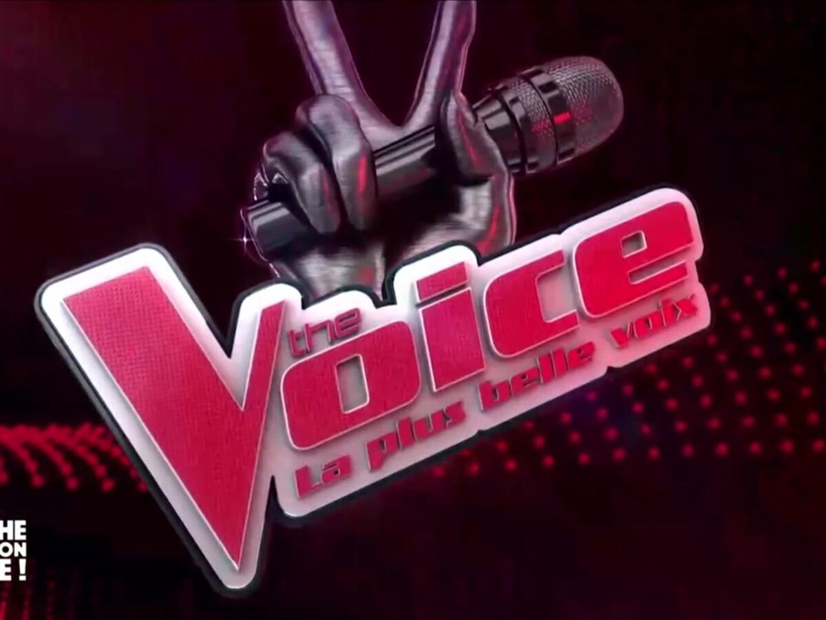 The Voice : les salaires révélés, devinez quel coach gagne le plus...