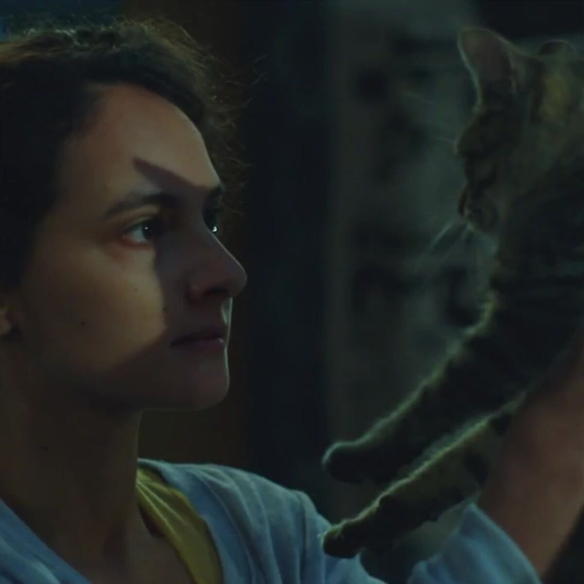 Plus Belle La Vie Une Scene De Maltraitance Sur Un Chaton Choque Les Internautes Femme Actuelle Le Mag