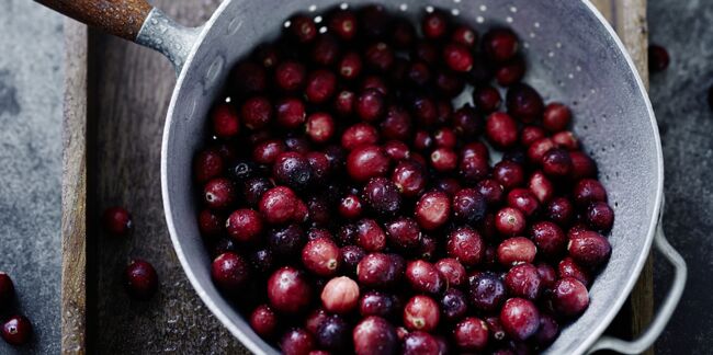 Cranberry : les vertus santé de cette baie et comment l'utiliser