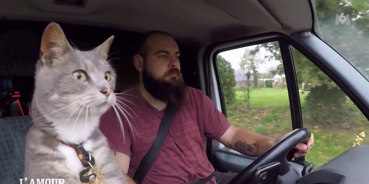Valentin L Agriculteur Au Chat Et Au Cœur Brise Fait Fondre Les Telespectateurs Femme Actuelle Le Mag Valentin L Agriculteur Au Chat Et Au Cœur Brise Fait Fondre Les Telespectateurs Femme Actuelle Le Mag