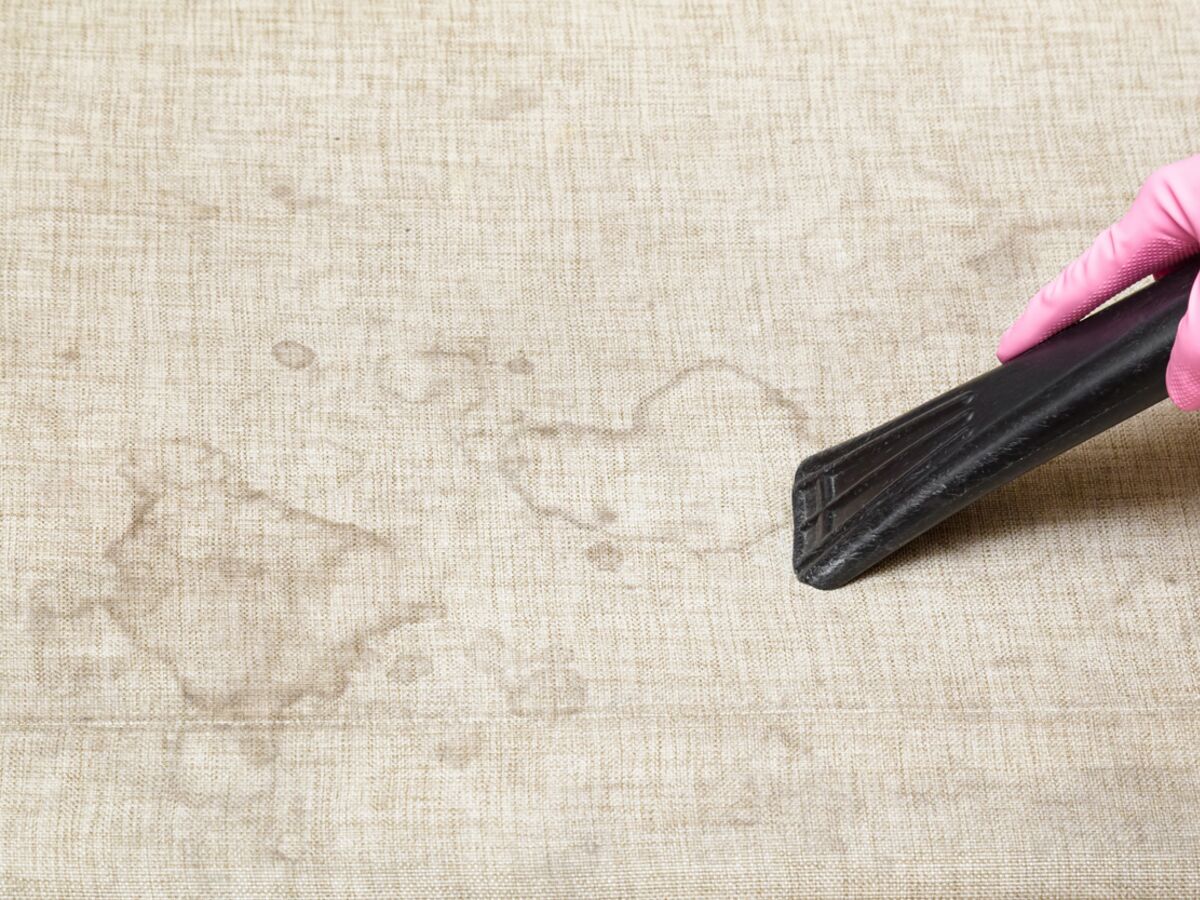 Les erreurs à ne plus faire pour nettoyer son canapé en tissu efficacement  : Femme Actuelle Le MAG