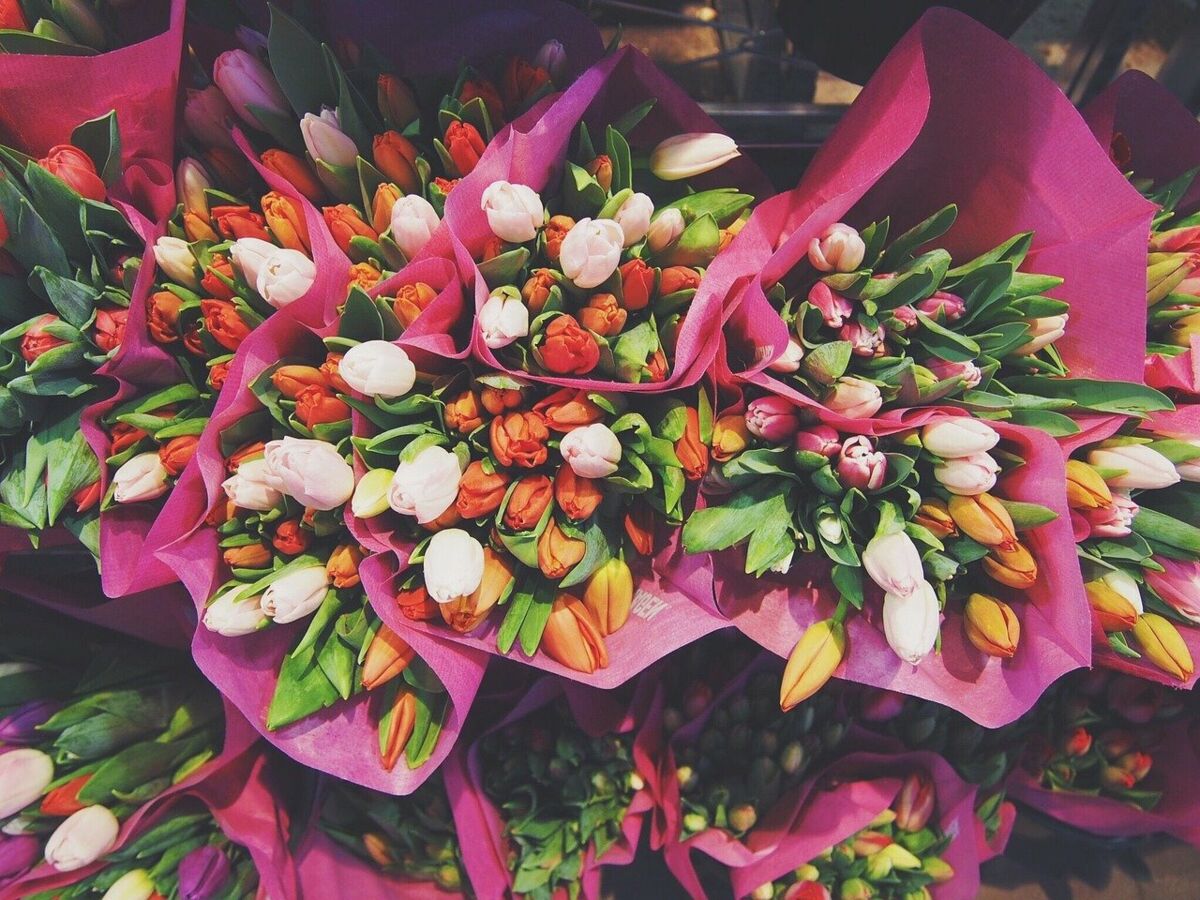 Fleurs coupées : tout ce qu'il faut savoir avant d'acheter un bouquet