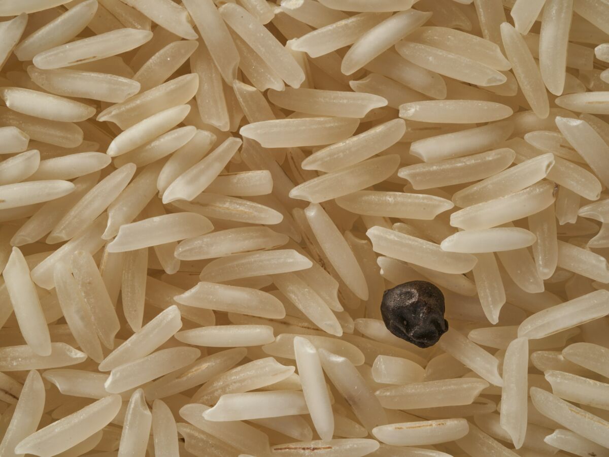 Rappel produits Carrefour : des bactéries retrouvées dans du riz basmati