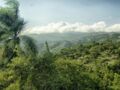 Découvrez la République dominicaine : un voyage entre culture et nature
