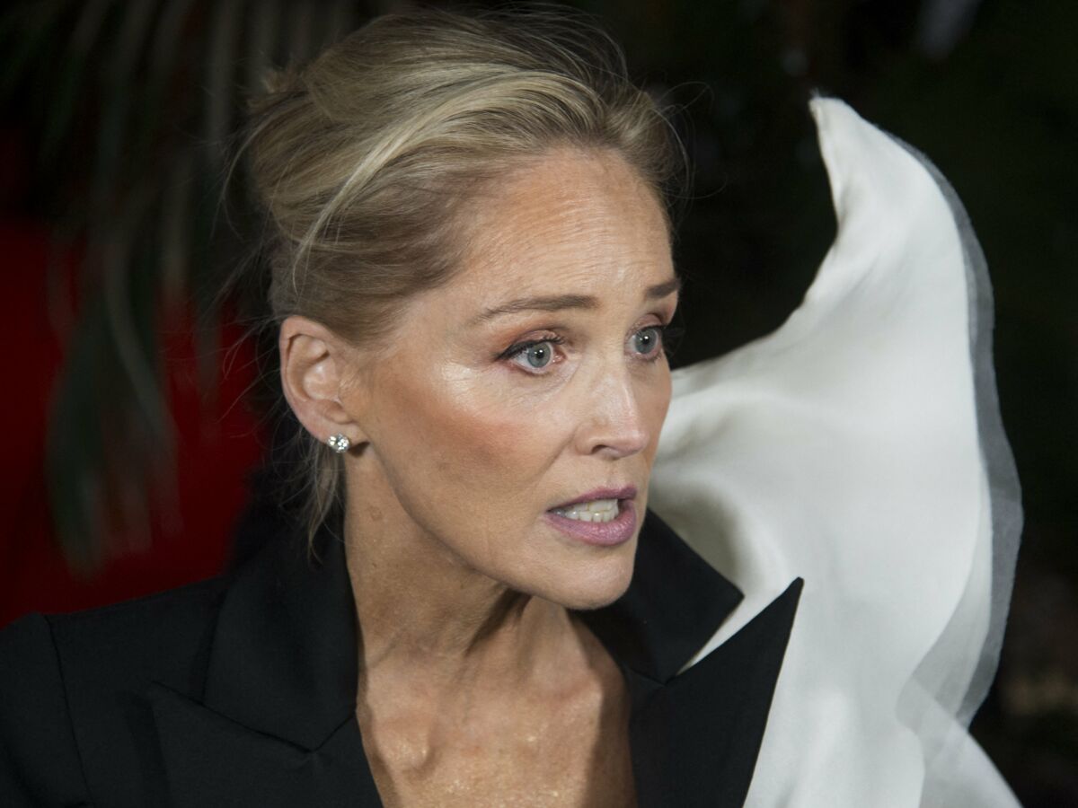 Sharon Stone : l’actrice tacle son partenaire de Basic Instinct, Michael Douglas, dans ses mémoires