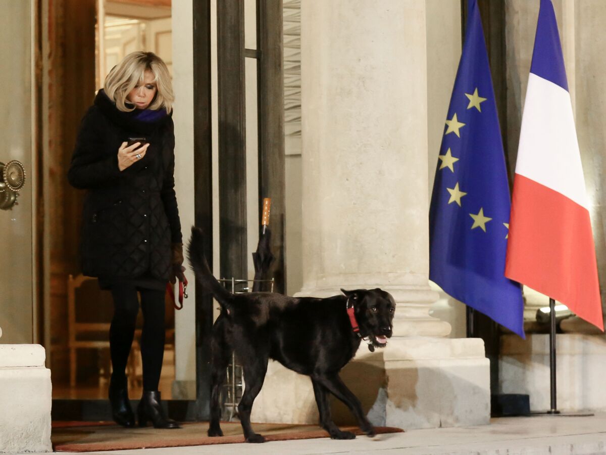 Brigitte Macron en promenade avec son chien : itinéraire d'un Nemo gâté