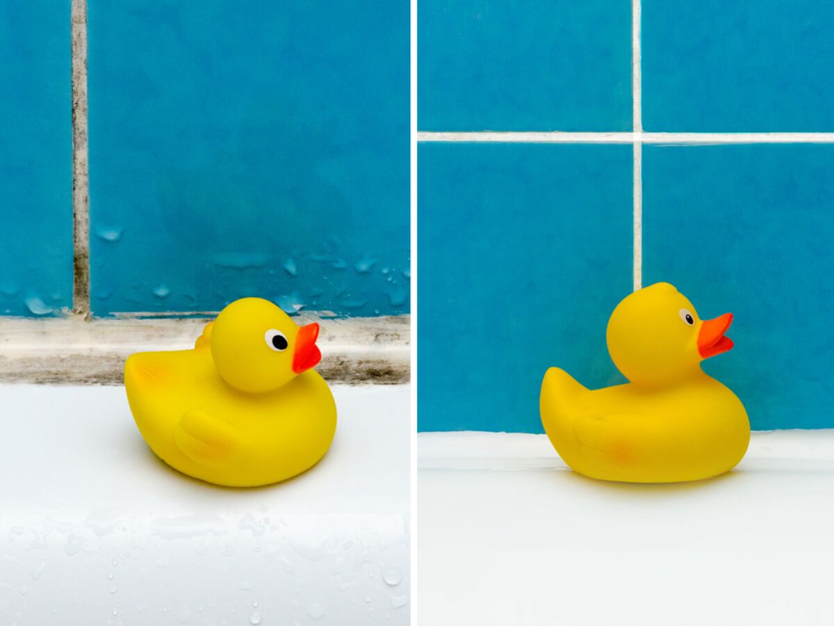 Comment enlever la moisissure dans la salle de bain : 5 astuces efficaces :  Femme Actuelle Le MAG