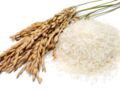 5 variétés de riz à (re)découvrir