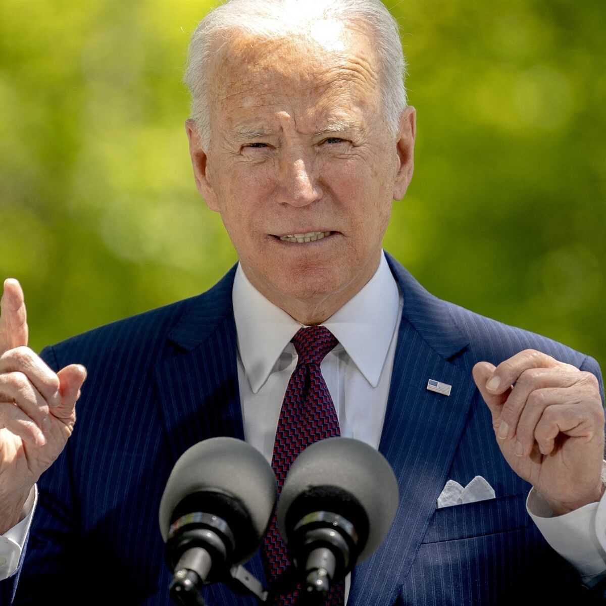 Joe Biden Le President Des Etats Unis Et Sa Femme Ont Adopte Un Chat A La Maison Blanche Femme Actuelle Le Mag