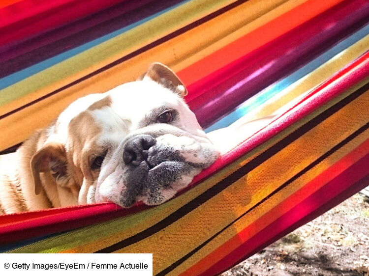 5 bonnes raisons de lever le pied ! Femme Actuelle Le MAG