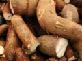 3 idées recettes faciles pour cuisiner le manioc 