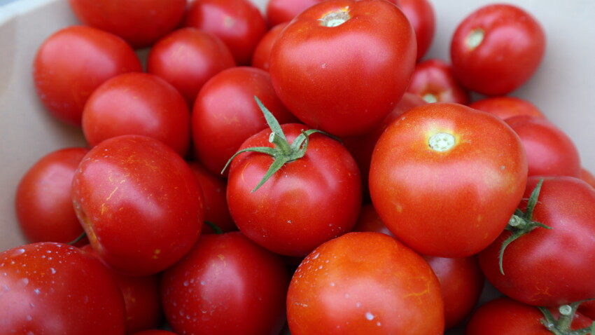 J Ai Trop De Tomates 5 Idees Gourmandes Pour Les Utiliser Dans Mes Recettes Femme Actuelle Le Mag