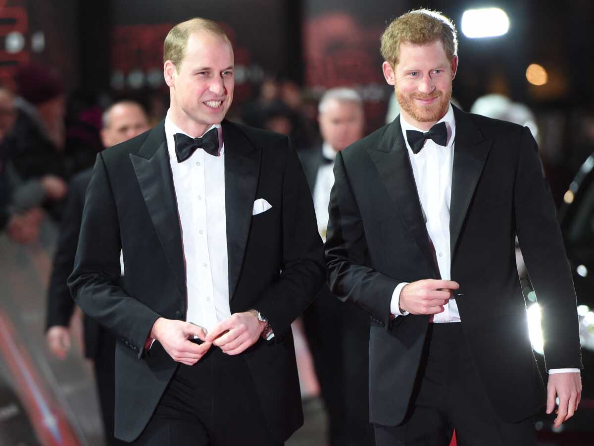 Les princes William et Harry enterrent la hache de guerre pour une cause qui leur tient à cœur