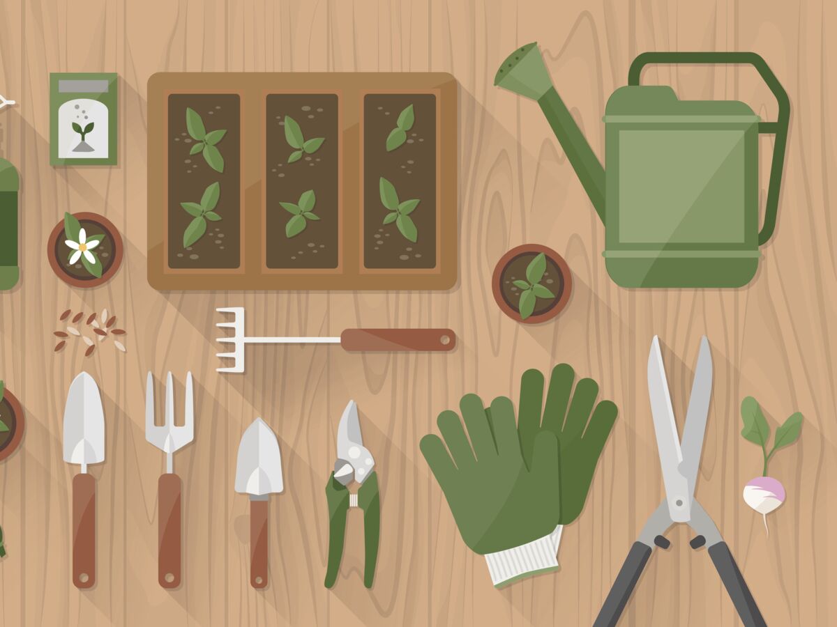 Comment nettoyer les outils de jardin ? : Femme Actuelle Le MAG