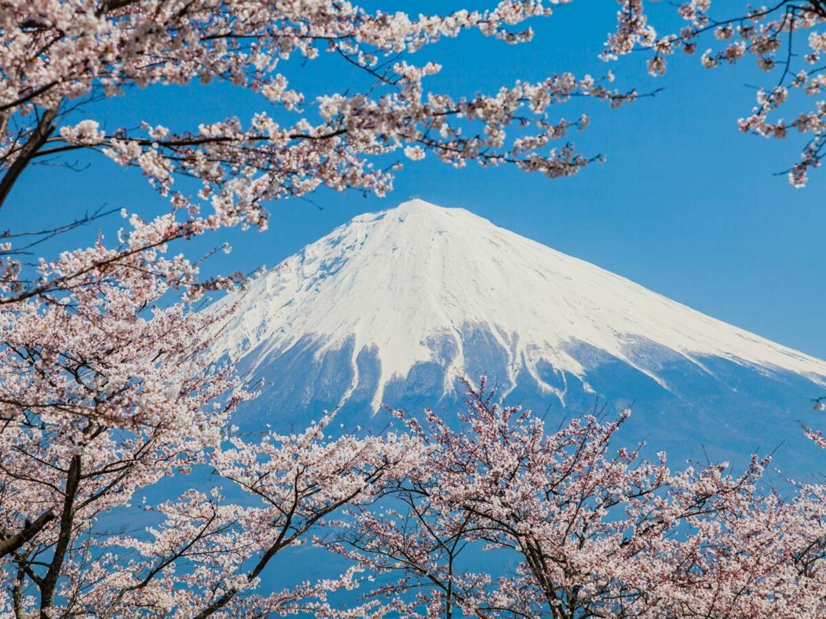 Voyage au Japon : à la découverte du mont Fuji : Femme Actuelle Le MAG