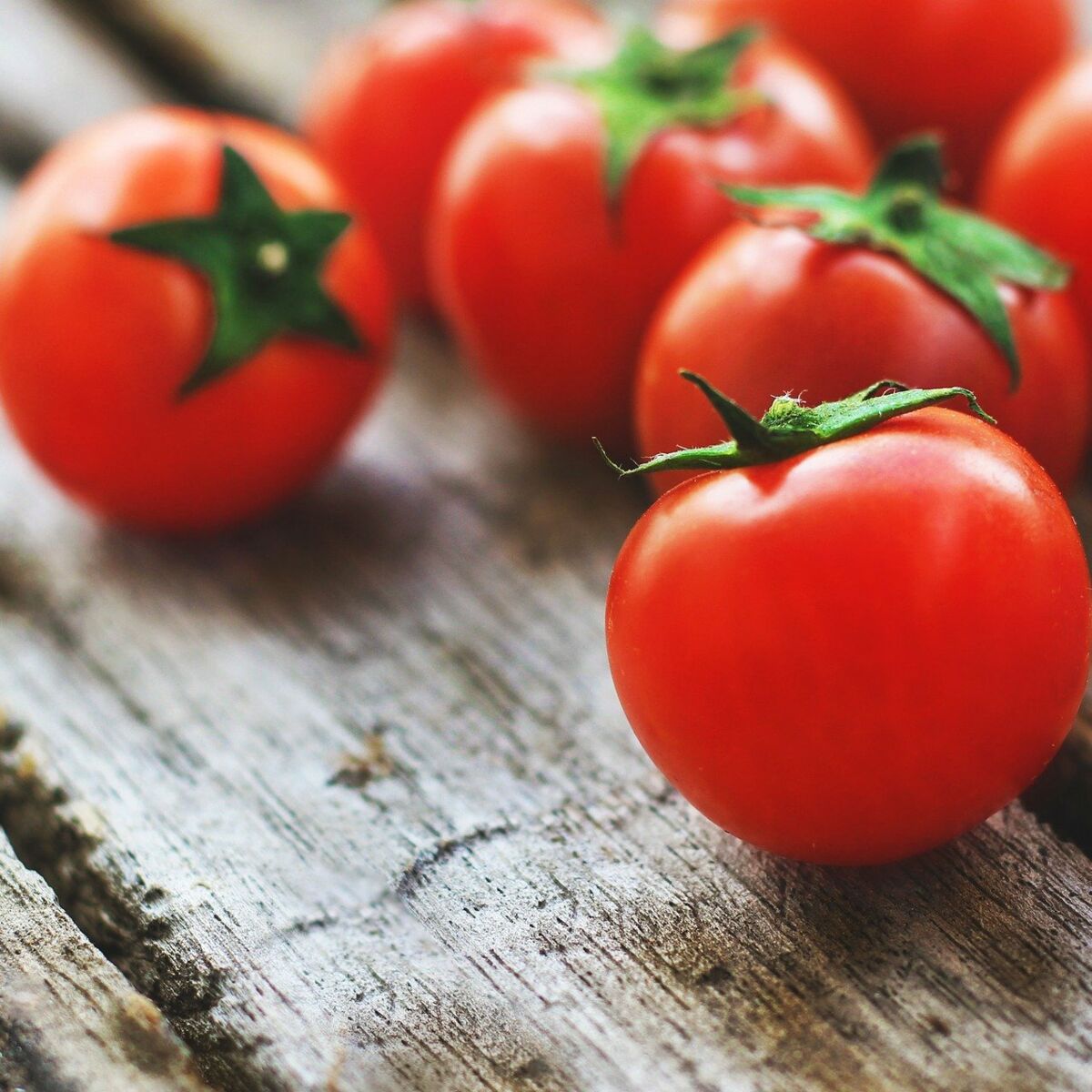 A croquer à l'apéritif ou à cuisiner goûtez nos délicieuses recettes de tomates  cerises