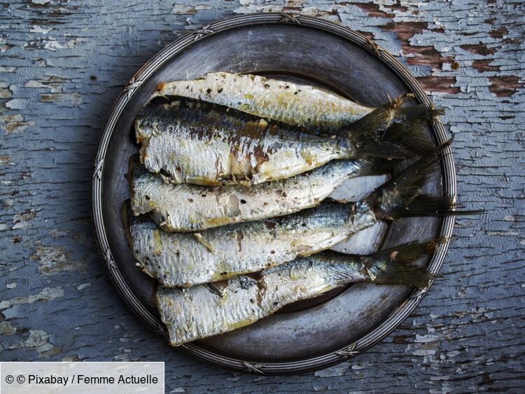 5 idées recettes avec des sardines