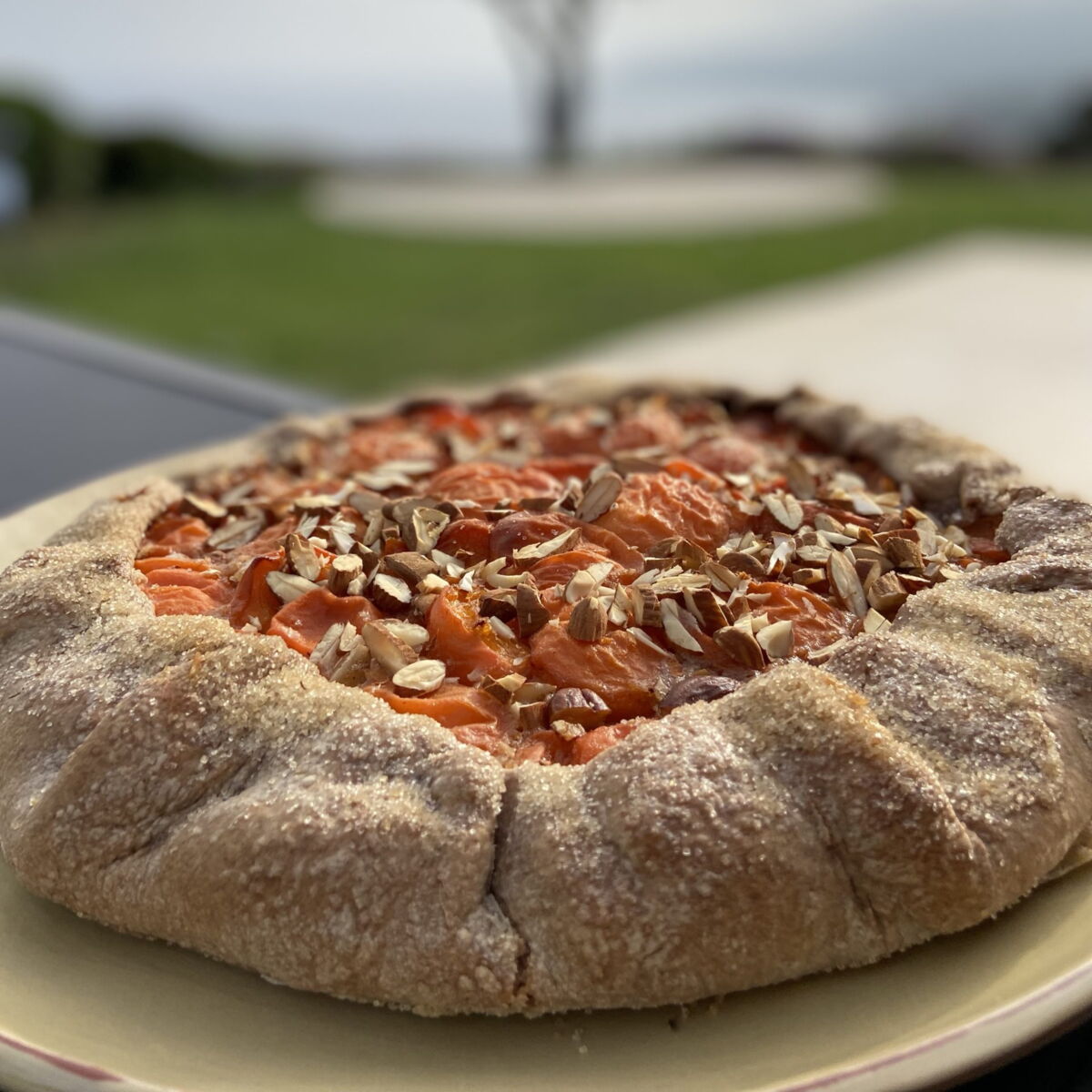 Tarte Abricot Amandes Le Dessert D Ete A Tomber De Laurent Mariotte Femme Actuelle Le Mag