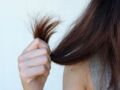  5 erreurs à ne pas faire quand on a les cheveux secs