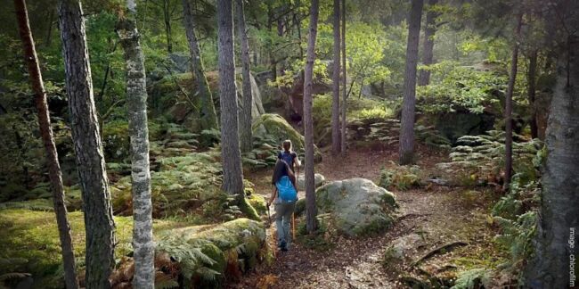 7 idées de randonnées au Pays de Fontainebleau 