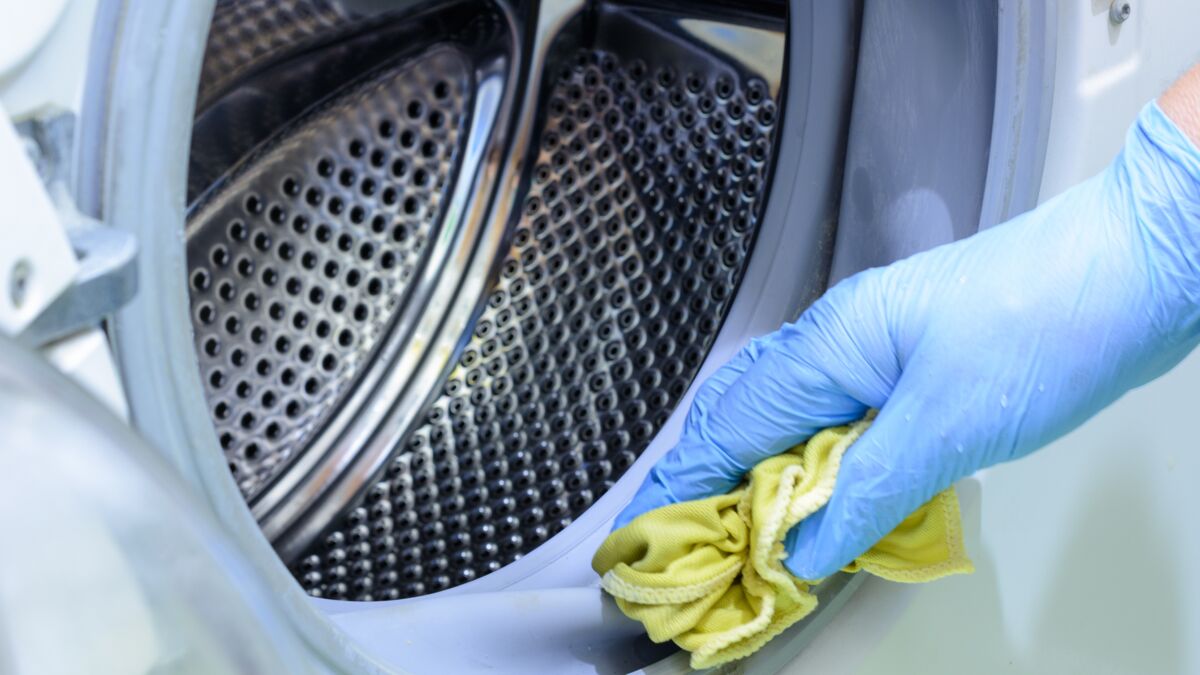 Méthodes de lavage de voiture DIY pour éliminer les moisissures