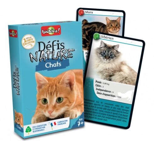 Jeu De Plein Air Tout Savoir Sur Le Chat Perche Femme Actuelle Le Mag