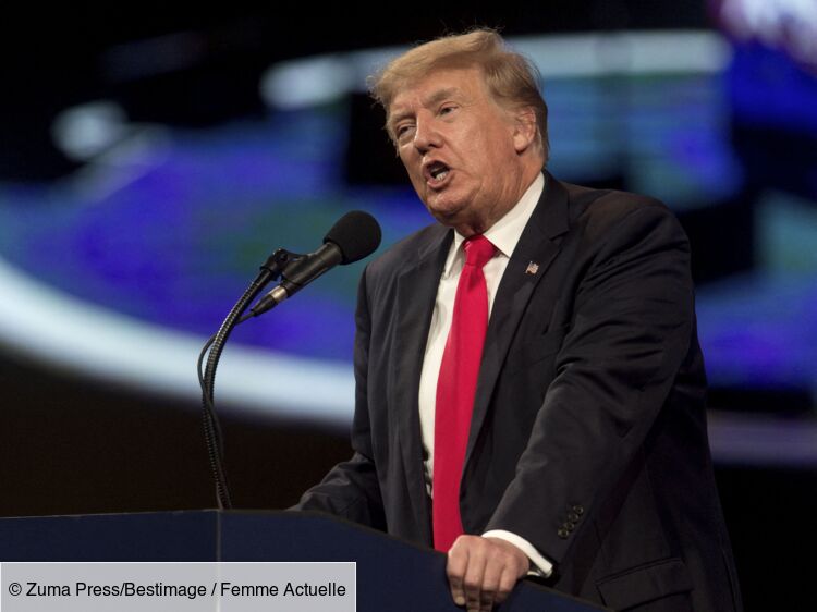 Donald Trump attaque sa nièce Mary en justice : le milliardaire lui réclame 100 millions de dollars
