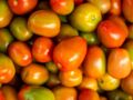 Comment faire mûrir rapidement des tomates vertes ?