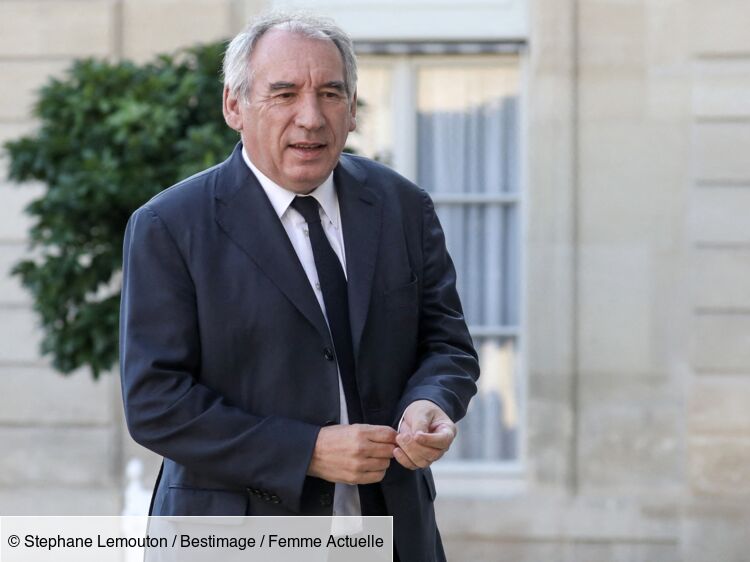 François Bayrou a failli se battre avec un responsable politique : “Il est devenu fou !”