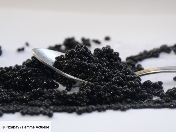 Le caviar d’Aquitaine, l’or noir du Sud-ouest