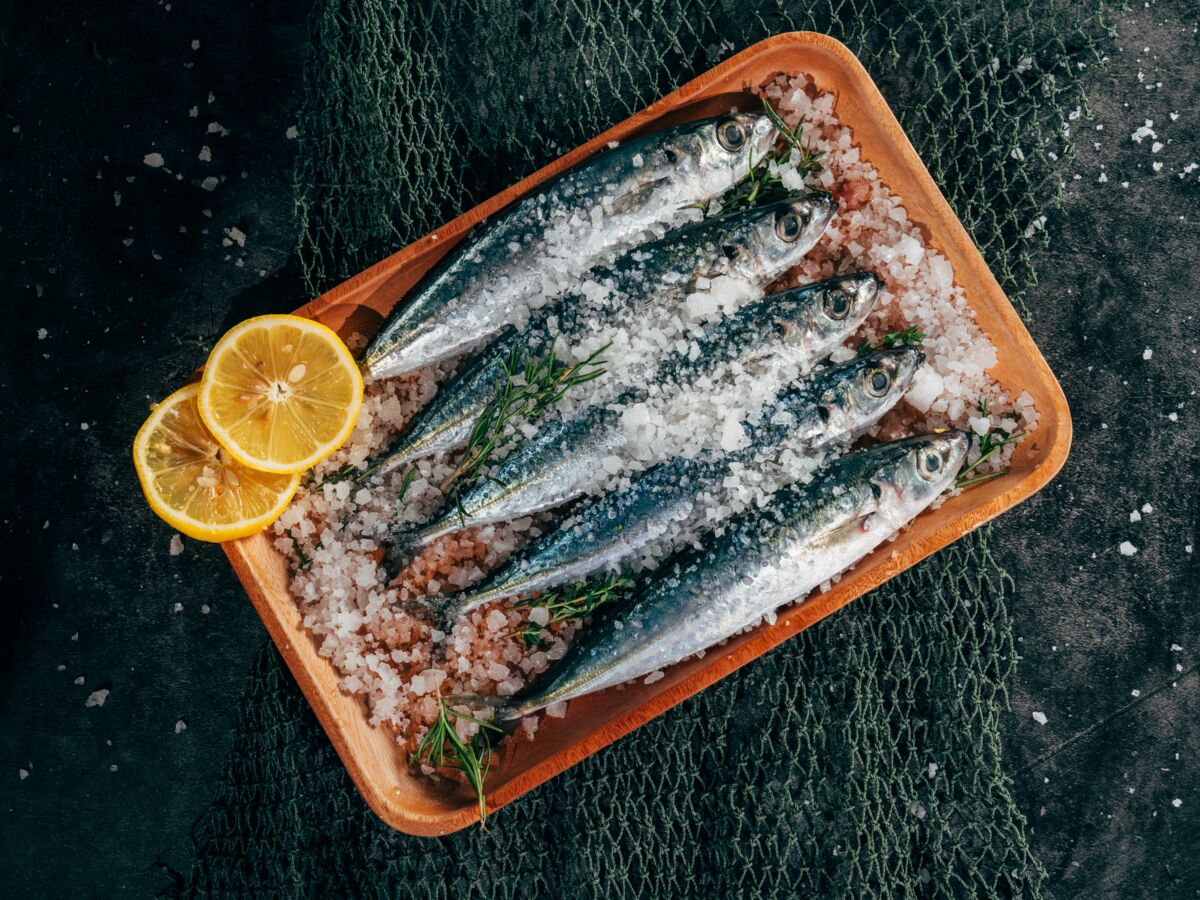 La sardine en conserve : les bienfaits