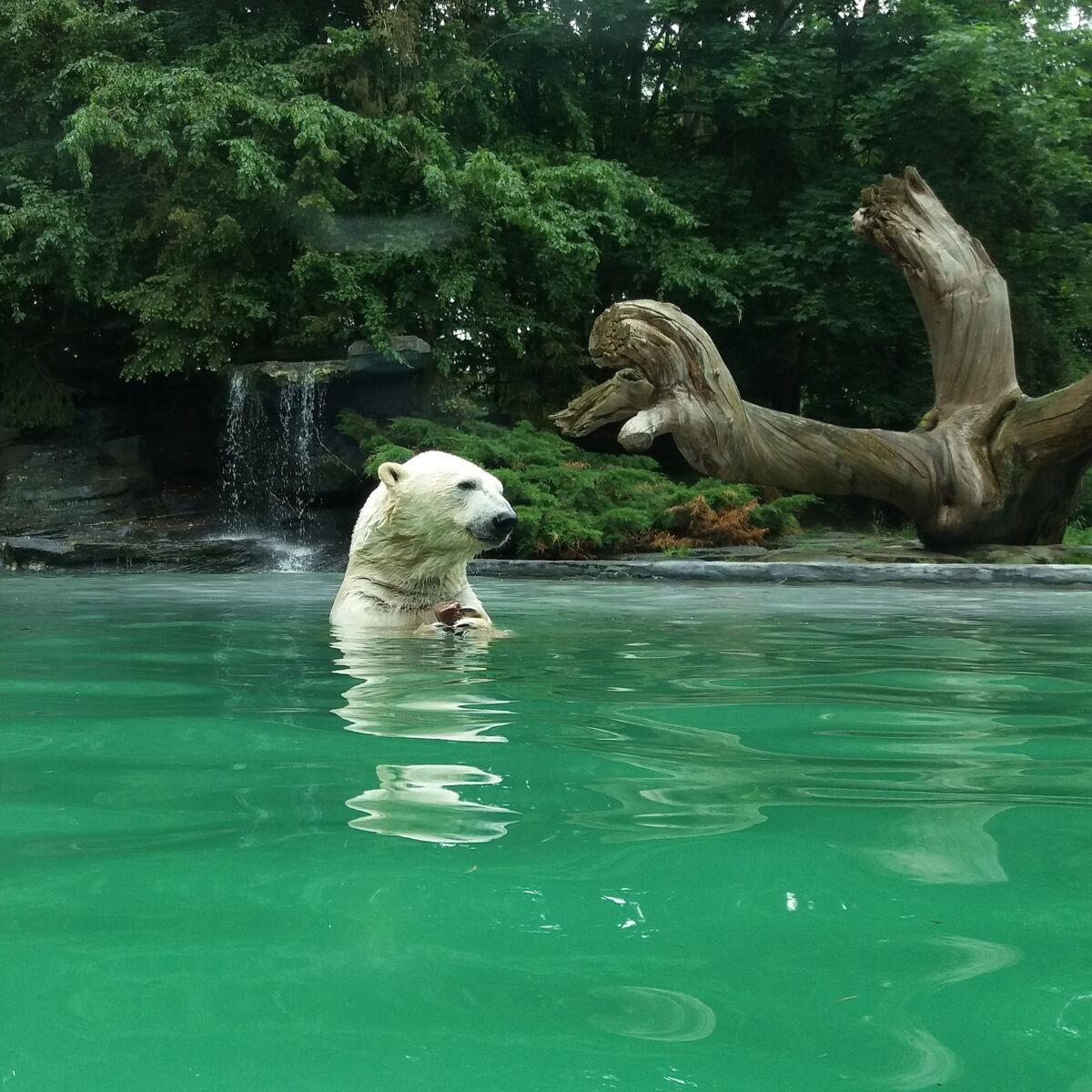 recherche rencontre femme sarthe